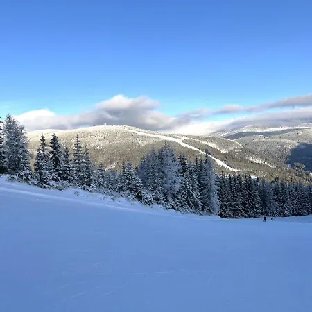 Multi-family On The Slopes With Sauna