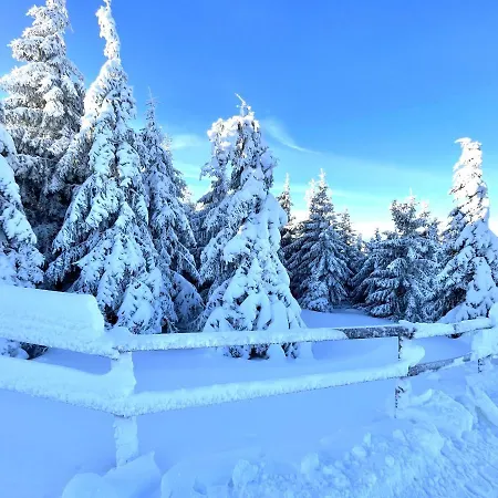 Lejlighed Multi-family On The Slopes With Sauna